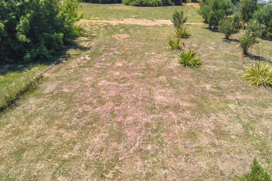 0 Bedroom Property for Sale in Riebeek Kasteel Western Cape